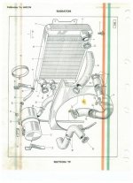 Tiger Manual Radiator 1.jpg