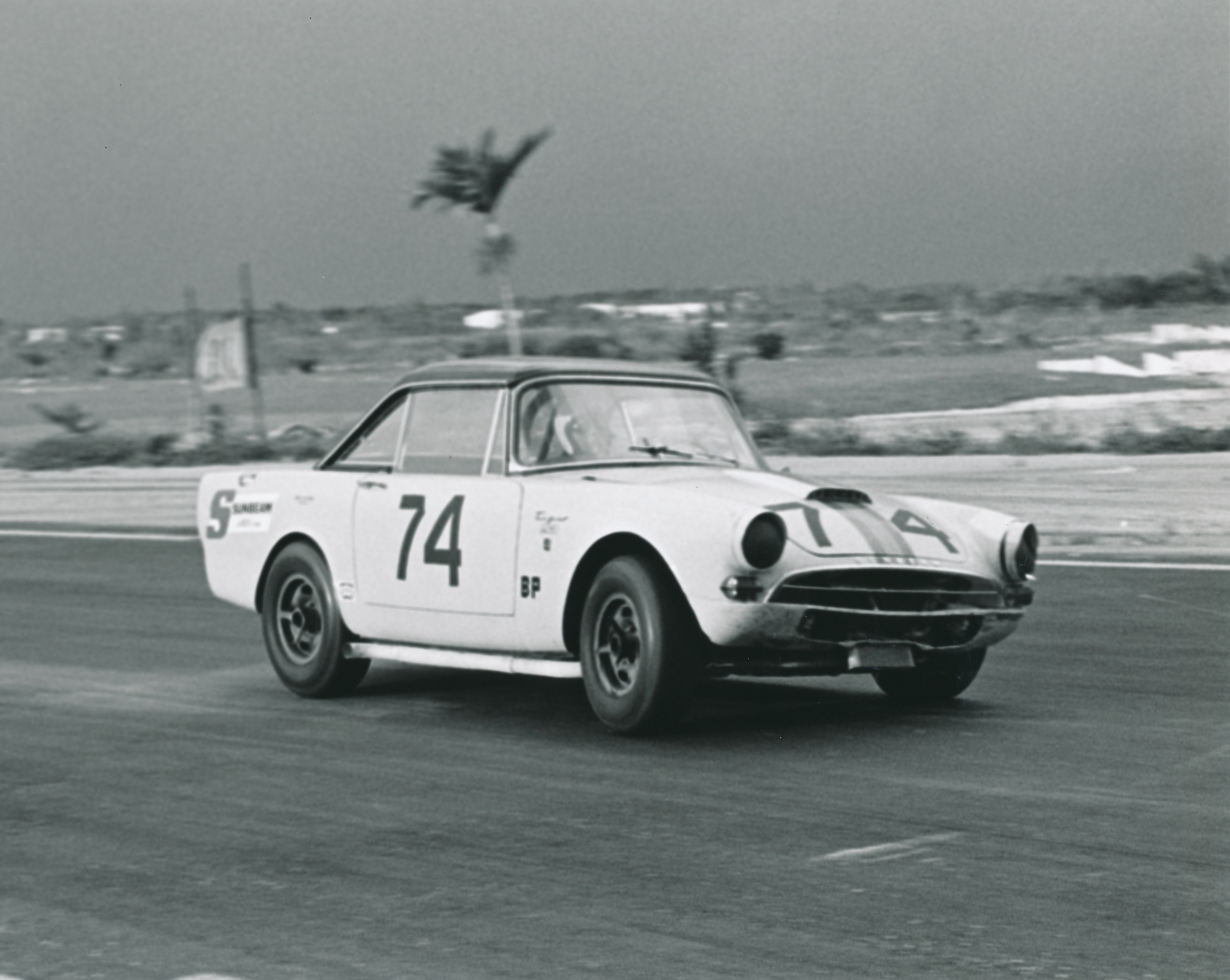 65 -last race for shelby tiger jpeg.jpg