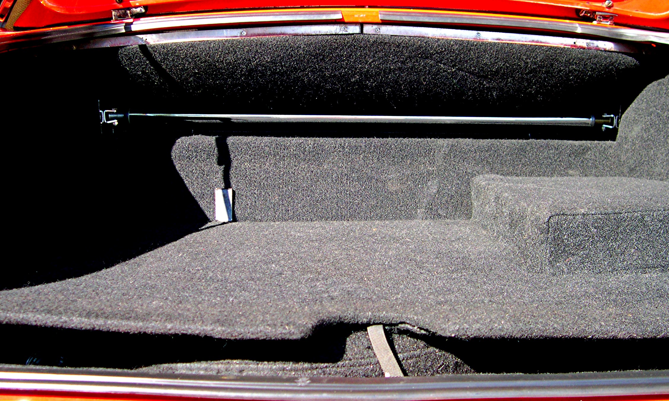 Trunk 004.jpg